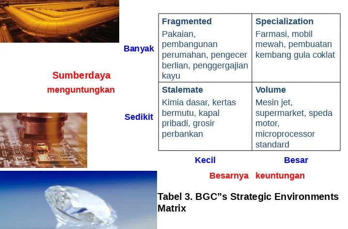 Tabel 3. BGC”s Strategic Environments Matrix 