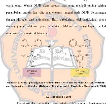 Gambar 2. Reaksi penangkapan radikal DPPH oleh antioksidan (AH=Antioksidan, ox=Oksidasi, red=Reduksi) (Dehpour, Ebrahimzadeh, Fazel, dan Mohammad, 2009) 