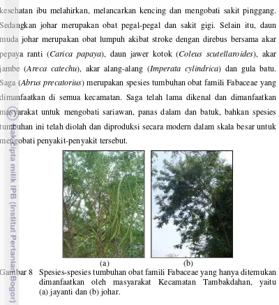 Gambar 8   Spesies-spesies tumbuhan obat famili Fabaceae yang hanya ditemukan 