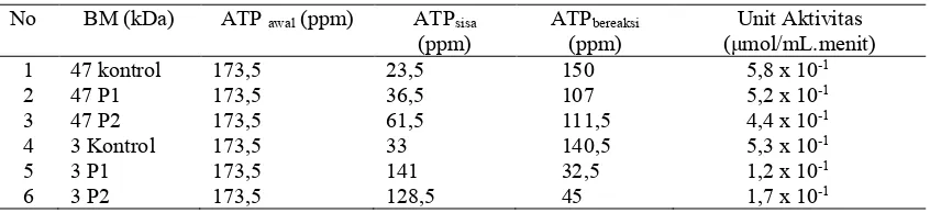Tabel 2. Perhitungan Berat Molekul Rata-Rata Protein Membran Spermatozoa Tikus  