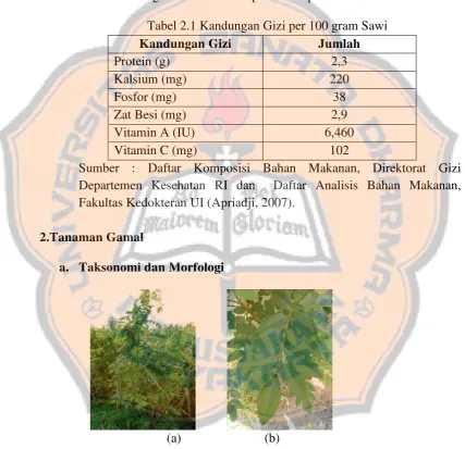 Tabel 2.1 Kandungan Gizi per 100 gram Sawi 