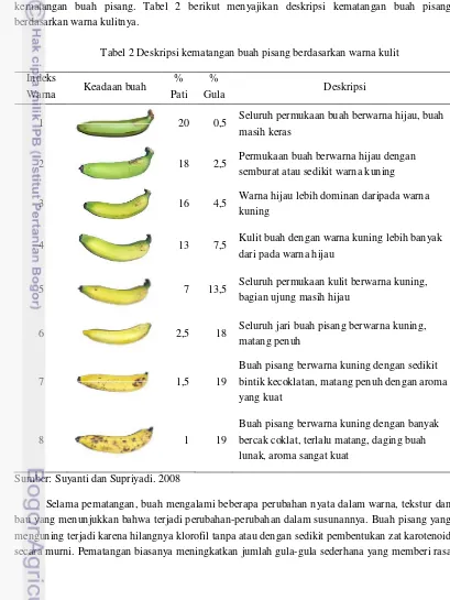 Tabel 2 Deskripsi kematangan buah pisang berdasarkan warna kulit 