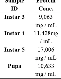 Tabel 1.Hasil Perhitungan Crud Protein Nano Drop Isolat Protein Hormon Bombyx moriL. 