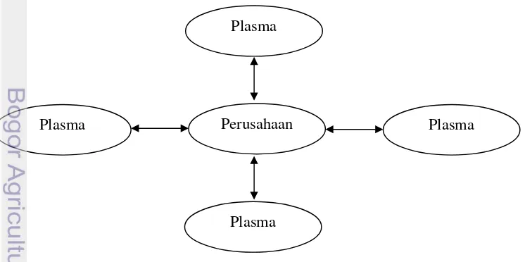 Gambar 1. Pola Kemitraan Inti-Plasma