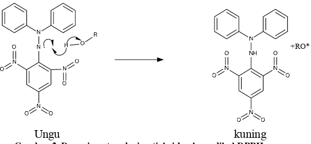 Gambar 2. Donasi proton dari antioksidan ke radikal DPPH 