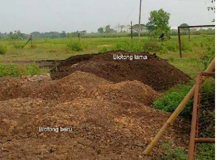 Gambar 1.  Blotong dari hasil pengolahan gula