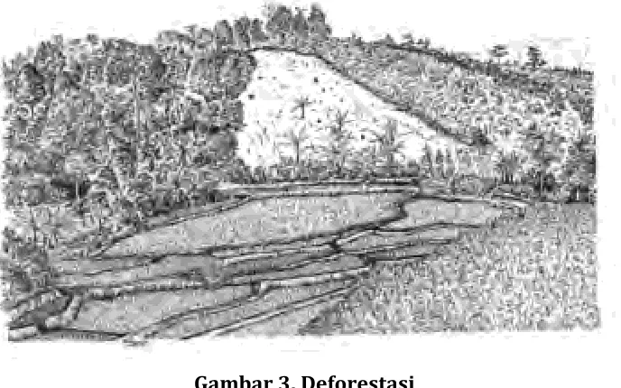 Gambar 3. Deforestasi 