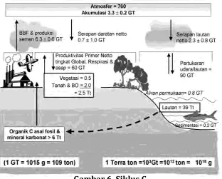 Gambar 6. Siklus C  