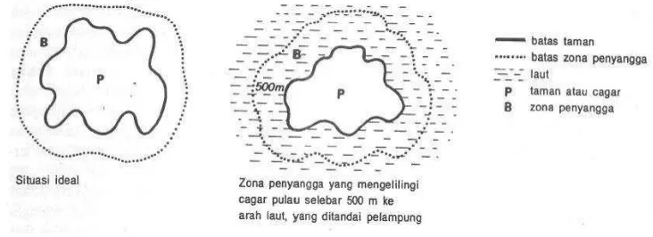 Gambar 3  Contoh zona penyangga untuk taman dan cagar (IUCN 1990). 