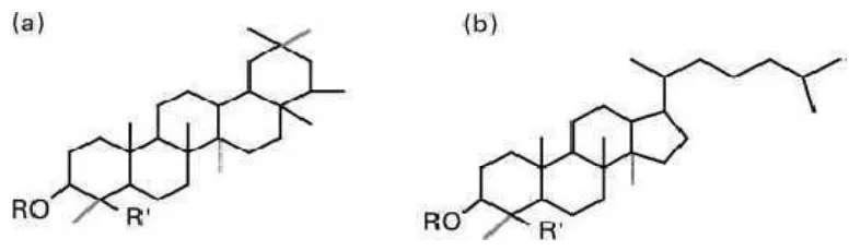 Gambar 2. Struktur Kimia Sapogenin: (a) Triterpenoid, (b) Steroid  