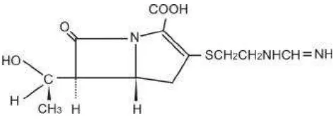 Gambar 5. Struktur kimia imipenem