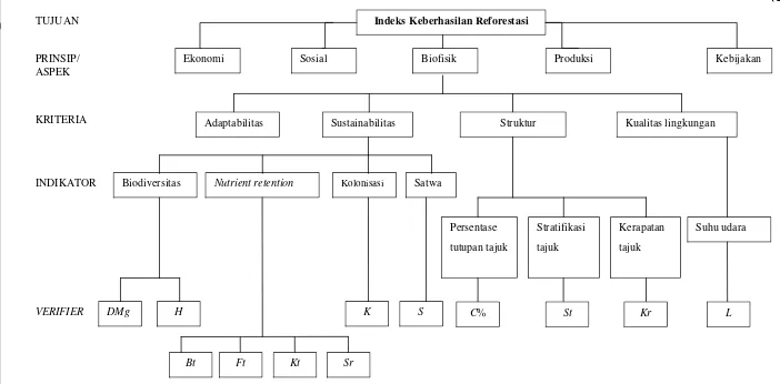 Gambar 4  Struktur hirarki kriteria dan indikator dalam mengukur indeks keberhasilan reforestasi