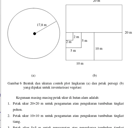 Gambar 6   Bentuk dan ukuran contoh plot lingkaran (a) dan petak persegi (b) 