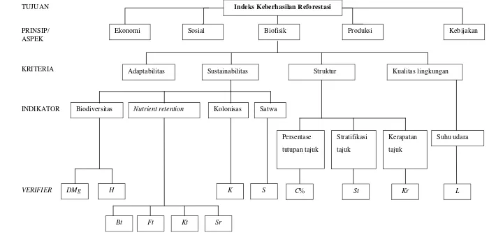 Gambar 4  Struktur hierarki kriteria dan indikator dalam mengukur indeks keberhasilan reforestasi