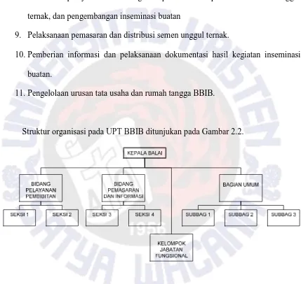 Gambar 2.2. Bagan Struktur Organisasi BBIB [7]. 