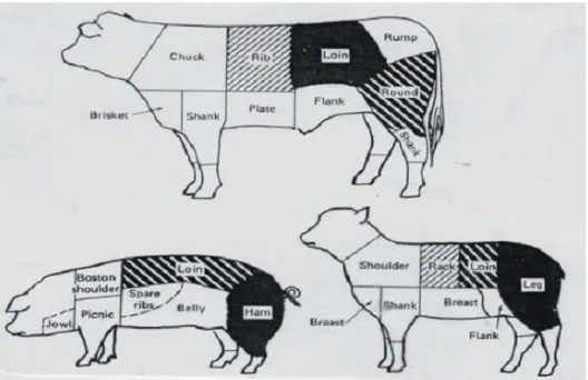 Gambar  Bagian-bagian  tubuh  pada  ternak  sapi,  domba  dan  babi.  Bagian  yangberwarna lebih gelap menunjukan yang kualitas daging paling baik