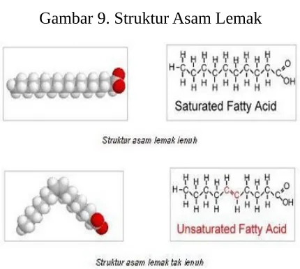 Gambar 9. Struktur Asam Lemak