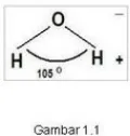 Gambar 1. Molekul Air
