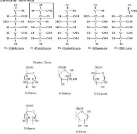 Gambar 4. Monosakarida