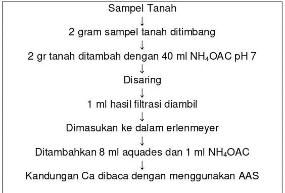 Gambar 2:  Alur penentuan kandungan kalsium tanah 