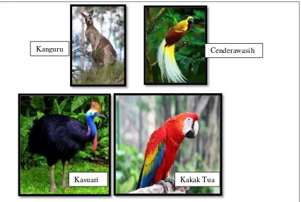 Gambar 7. Peta Persebaran Flora dan Fauna di Indonesia 