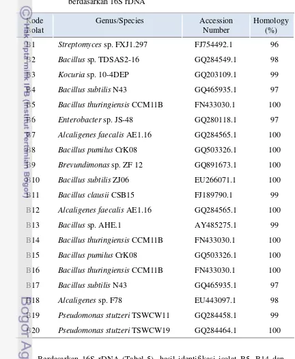 Tabel 5 Hasil identifikasi bakteri endosimbiotik mikoriza terseleksi 