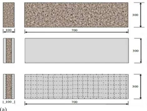 Figure 1 Wall Specimen of 100 mm Thickness 