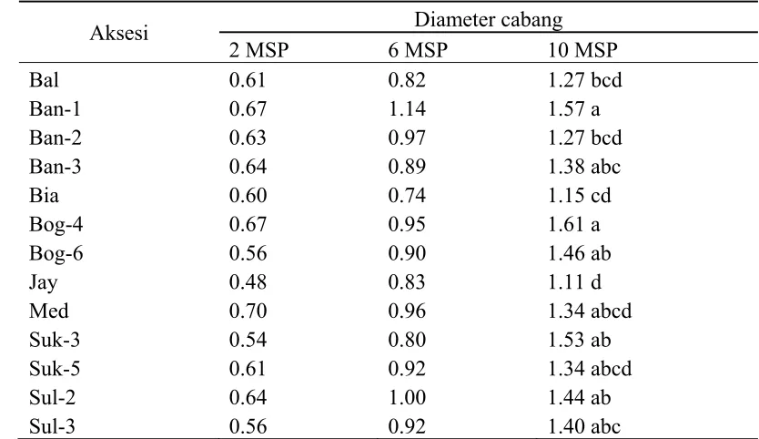 Tabel 9. Diameter cabang 13 aksesi jarak pagar pada 2 – 10 MSP 