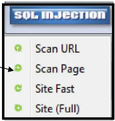 Gambar 4.4 Halaman Scanning SQL Injection pada PAGE 