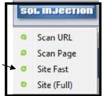 Gambar 4.6 Halaman Scanning SQL Injection pada SITE (FAST) 