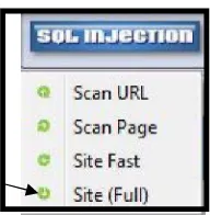 Gambar 4.7 Halaman Scanning SQL Injection pada SITE (FULL) 