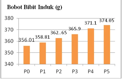 Grafik 3 Bobot Bibit Induk Jamur Enoki (g) 