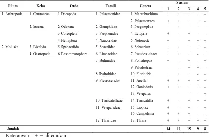 Tabel 3. Klasifikasi Makrozoobentos yang diperoleh pada Setiap Stasiun Penelitian 