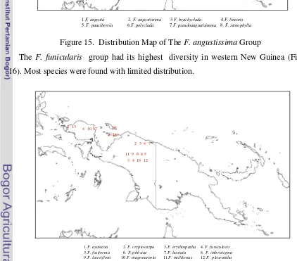 Figure 16.  Distribution Map of The F. funicularis Group