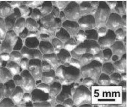 Gambar 2.3 : Struktur dalam Metal Foam (AlporasTM) 