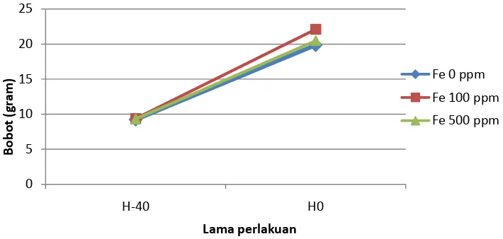 Gambar 2. Pertumbuhan ikan kerapu bebek Cromileptes altivelis selama 40 hari perlakuan pakan uji suplementasi Fe 0 ppm, 100 ppm, dan 500 ppm