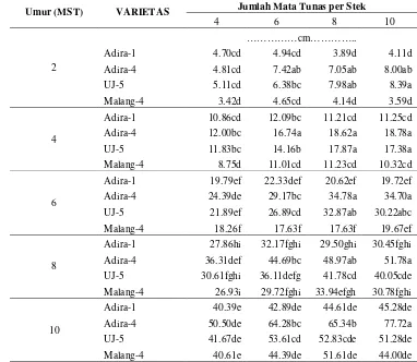 Tabel 9. Pengaruh Interaksi Varietas dan Jumlah Mata Tunas Stek terhadap Tinggi Batang Tanaman Ubi Kayu (Manihot esculenta Crantz.) 