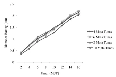 Gambar 6. Pertumbuhan Diameter Batang Tanaman Ubi Kayu (Manihot esculenta Crantz.) Berdasarkan Jumlah Mata Tunas Stek 
