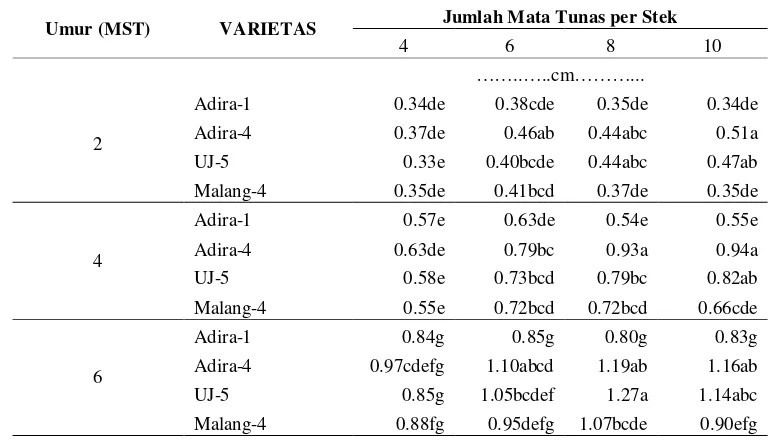 Tabel 11. Pengaruh Interaksi Varietas dan Jumlah Mata Tunas Stek terhadap Diameter Batang Tanaman Ubi Kayu (Manihot esculenta Crantz.) 