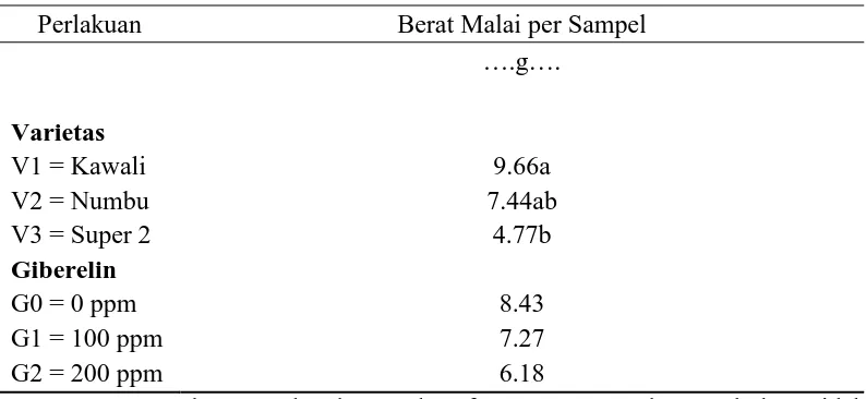 Tabel 6. Rataan berat malai per sampel (g) pada perlakuan varietas dan giberelin 