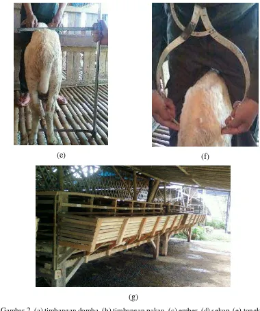 Gambar 2. (a) timbangan domba, (b) timbangan pakan, (c) ember, (d) sekop, (e) tongkat ukur, (f) slinding capiller, (g) kandang individu
