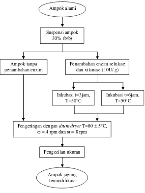 Gambar 2.   Diagram  alir  proses  modifikasi ampok  jagung secara  enzimatis dan fisik 