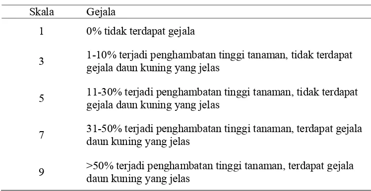 Tabel 1  Skala keparahan penyakit tungro  