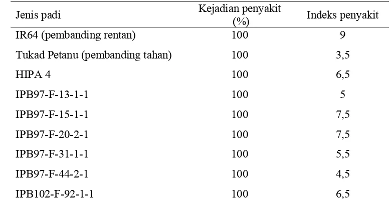 Tabel 3   Pengaruh inokulasi virus tungro terhadap kejadian penyakit dan indeks     penyakit  pada varietas hibrida dan beberapa galur padi 