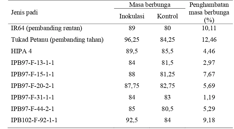 Tabel 5    Pengaruh inokulasi virus tungro terhadap penghambatan masa berbunga pada varietas hibrida dan beberapa galur padi 