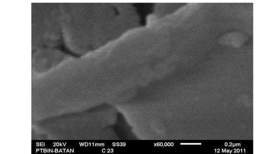 Gambar 27 Morfologi permukaan sampel C23. Perbesaran 60.000 kali  Foto  SEM  dengan  penggunaan  katalis  ferrocene  0,8  gram  profil  sampel  belum  terlihat  jelas  sehingga  sulit  untuk  mengidentifikasi  ukuran  sampel  yang  dihasilkan seperti pada 