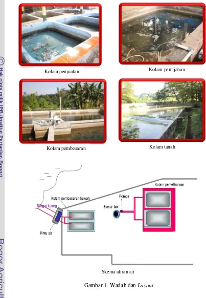 Gambar 1. Wadah dan Layout 