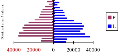 Gambar 4. 2. Piramida Penduduk Tahun 2010 Berdasarkan Metode Langsung 