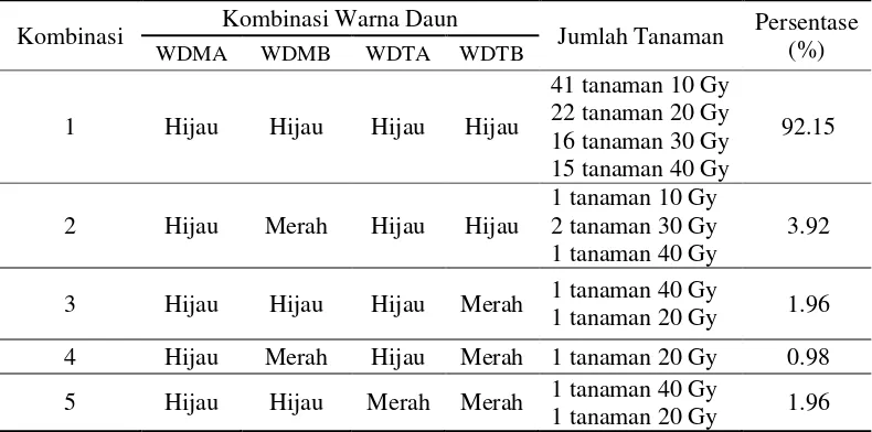 Tabel 1. Kombinasi Warna Daun pada Tanaman Purwoceng Generasi M3 