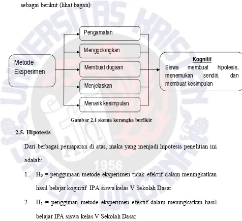 Gambar 2.1 skema kerangka berfikir 